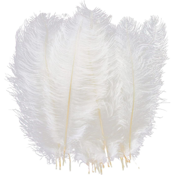 10-12 tum (25-30 cm) naturliga strutsfjädrar för bröllopsdekorationer, heminredning, blomsterarrangemang, gör-det-själv-julprydnader (10 st, vita)