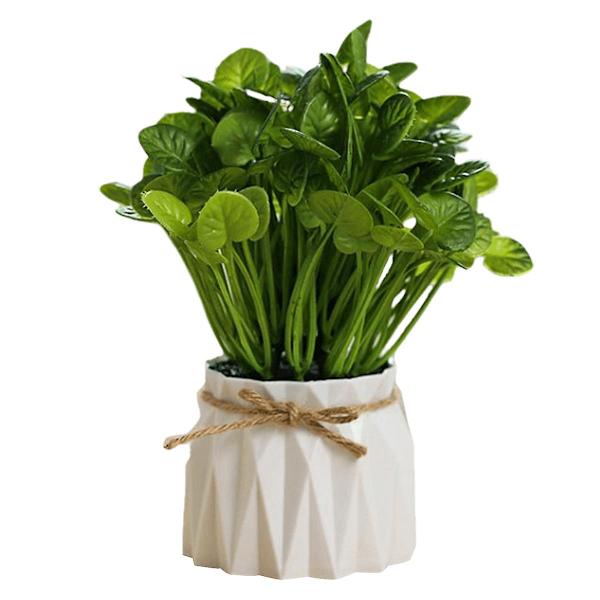 Plastpotter, Gresskuler, Grønne Planter, Potteplanter, Simuleringsblomster, Kreative Ornamenter, Kunstige Planter style1