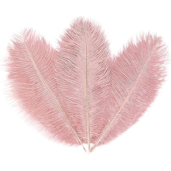 10 stk. Lyserøde Strudsefjer, Naturlige Lotus Pink Fjer Duske 25-30 cm Bulk Til Håndværk Vase Bryllupsfest Bordpynt Blomsterarrangement