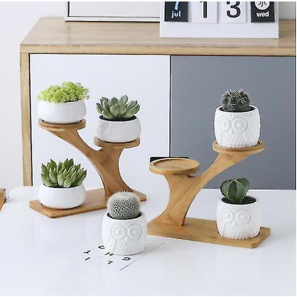 Liten växtstativ hylla planter för suckulenter, blommor stairs