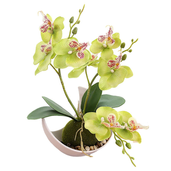 Treuddig Phalaenopsis Orkidé Måne Bonsai Konstgjord Blomster Dekoration Växt Krukväxt Grön Växt Heminredning green