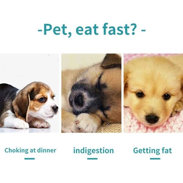 Glutton Katte Skål Anti Glutton Kæledyr Hund Anti Kvælnings Skål Puzzle Skåle