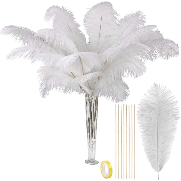 Naturliga vita Stora strutsfjädrar Bulk 10 stycken - Tillverkningssats 28  tum långa fjädrar för hantverk Blommor Vas Hemdekorationer Bröllopsfest  Centerpi 91de | Fyndiq