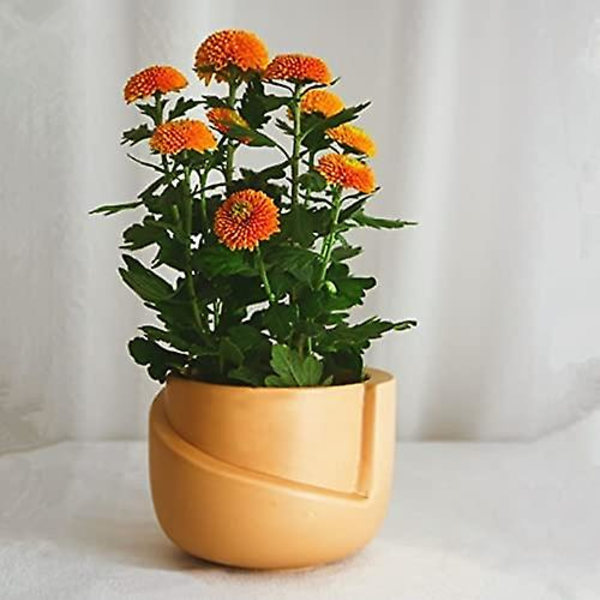Sæt med 2 keramiske urtepotter - Irregulær form - Kreativ - Til små planter, kaktusser (a + B) Style 3