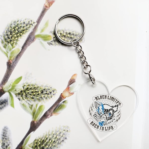 Nøgleringe med kæde, 50 stk. nøgleringssæt inkluderer split nøglering med kæde, åbne springringe, hummerlås, nøglering til håndværk, resin og smykker