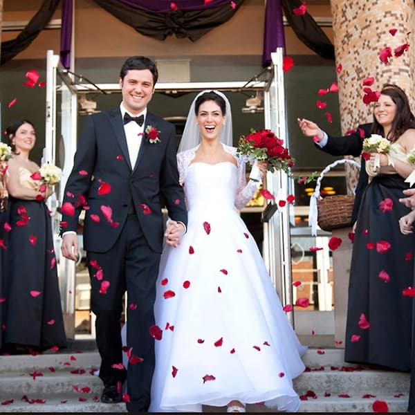 3000 stk. roseblader, kunstige blomsterblader til Valentinsdag, bryllupsfest, blomsterdekorasjon red