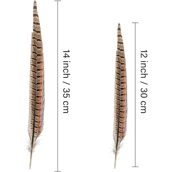 20 stk. Naturlige Fasanfjer - Fasan Hale 12-14 tommer (30-35 cm) Til DIY Dekoration (fasan hale)
