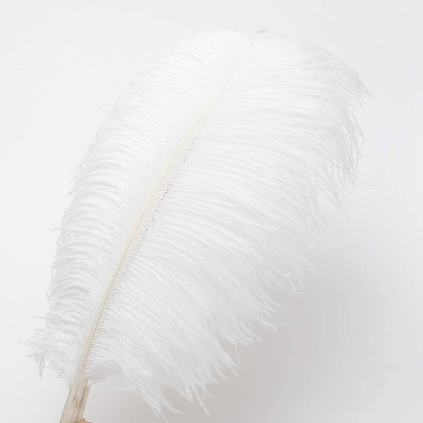 24 stk. Naturlige Hvide Strudsefjer 25-30 cm (10-12 tommer) Til Bryllupsfest Borddekorationer, Blomsterarrangement og Boligdekoration.