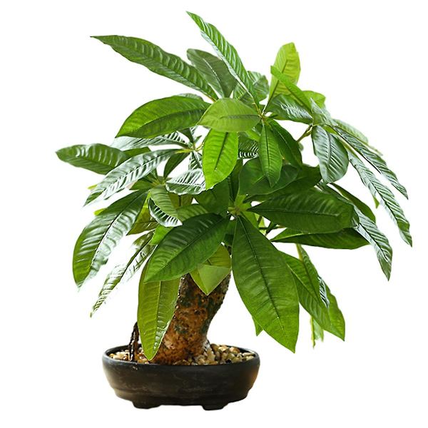 Simulering av stor bonsai, gröna växter, bonsai, kreativa heminredningar, artificiell simulering av gröna växter, krukväxter