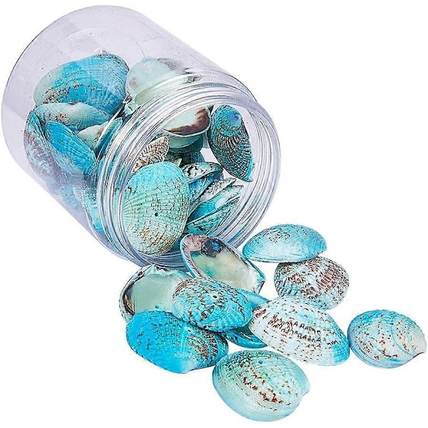 Värjätyt luonnonkuorikot Aqua