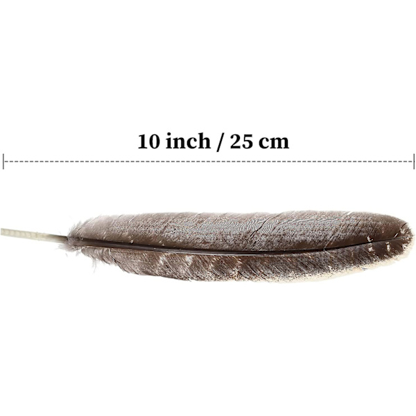 20 stk. Vilde Kalkunfjer Dekoration - Fjer til Håndværk Hovedbeklædning Hjem Bryllup Bordpynt 20-25 cm
