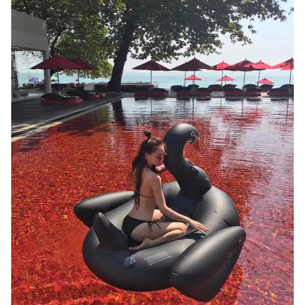 Cool 190cm Sort Svane Kæmpe Pool Float Oppustelig Cirkel Svømmeringe Ride-on Luftmadras Flydende Seng Sommer