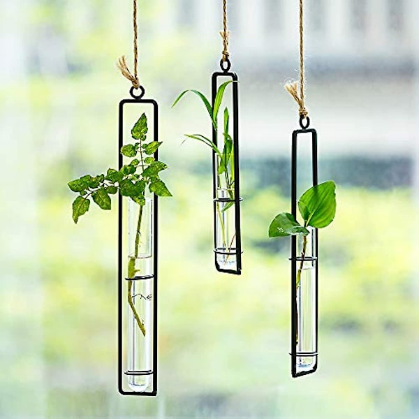 Set med 3 hängande planter terrarium i metalljärn, genomskinligt glas, provrör, blomvaser, väggmonterad hydroponisk växtdekor