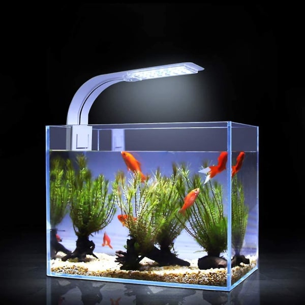 Ultratank LED-lampe til miniakvarium, klemmelampe med 24 LED'er hvidt og blåt lys til 30-40 cm akvarium, 10 W (hvid)