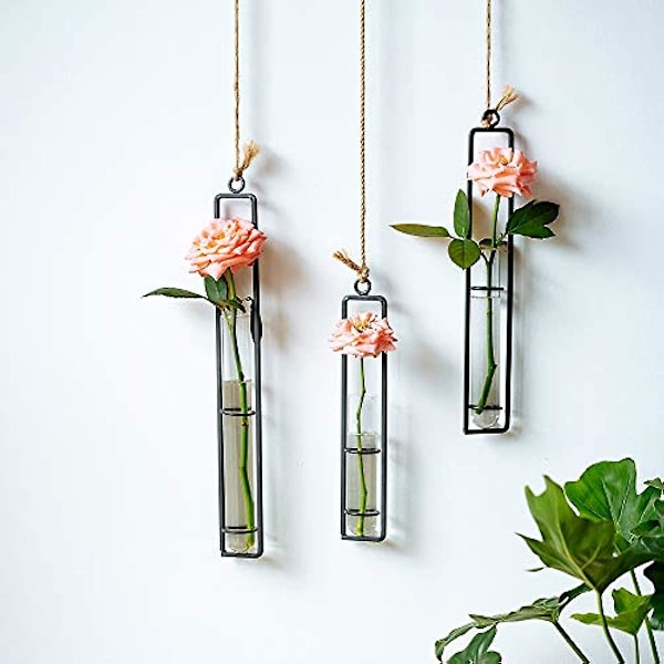 Set med 3 hängande planter terrarium i metalljärn, genomskinligt glas, provrör, blomvaser, väggmonterad hydroponisk växtdekor