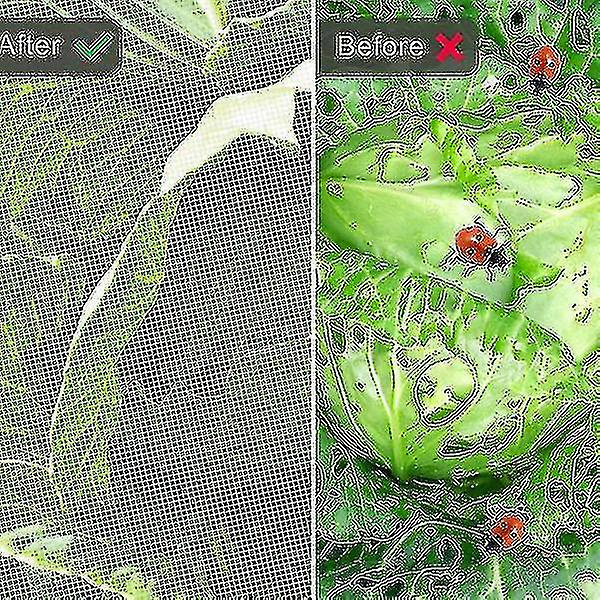 Puutarhaverkko Hyttys- ja hyönteisverkko Lintujen torjuntaverkko Puutarhaverkon suojaverkko Kasvien hedelmien ja kukkien suojaamiseen 305cmx915cm(10ftx30ft)