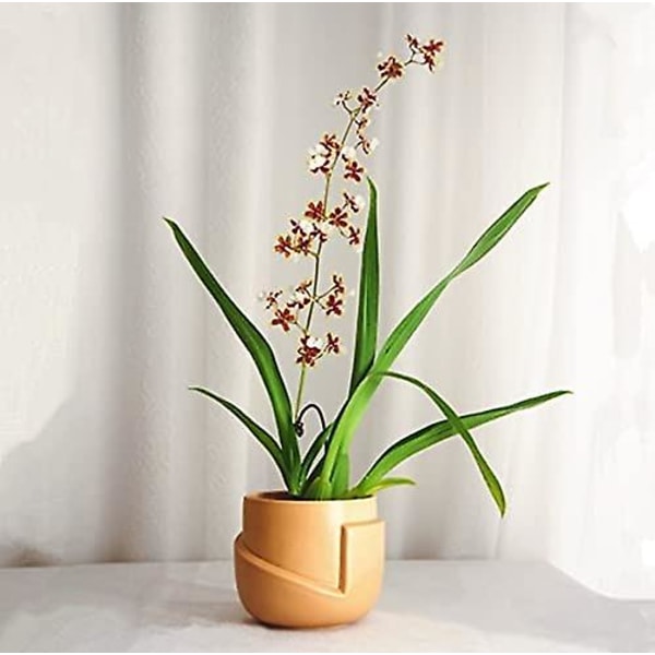Sæt med 2 keramiske urtepotter - Irregulær form - Kreativ - Til små planter, kaktusser (a + B) Style 3