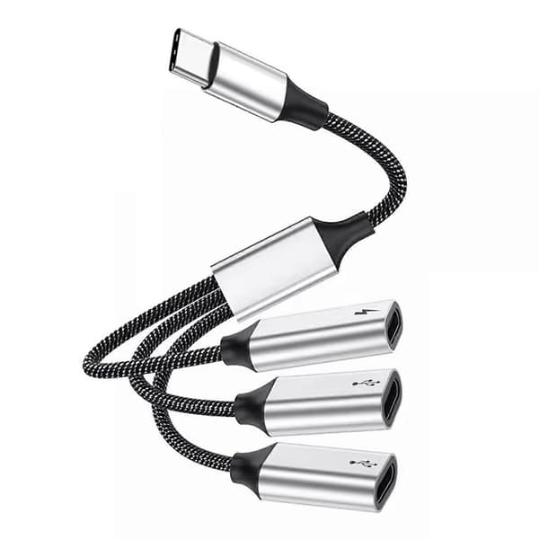 Typ C till 3x Typ C / 2x Typ C+USB2.0/ 1x Typ C+2xUSB2.0 OTG Adapterkabel 60W Strömförsörjning Snabb Dataöverföring 3Type C female