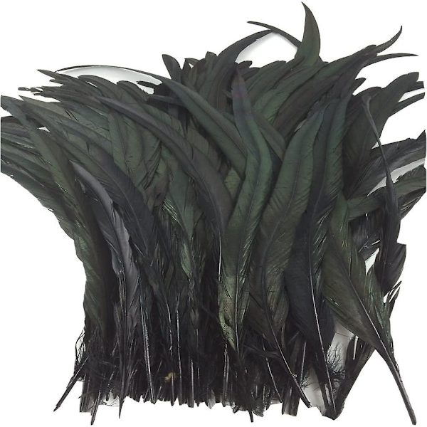 Natur Hane Halefjer Kostume Håndværk Dekoration 30-35 cm Pakke med 25 (sort)