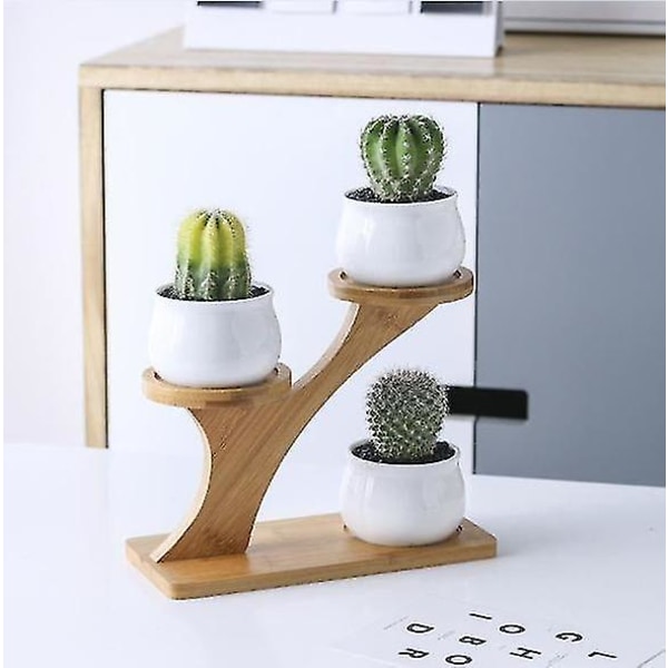 Liten växtstativ hylla planter för suckulenter, blommor stairs