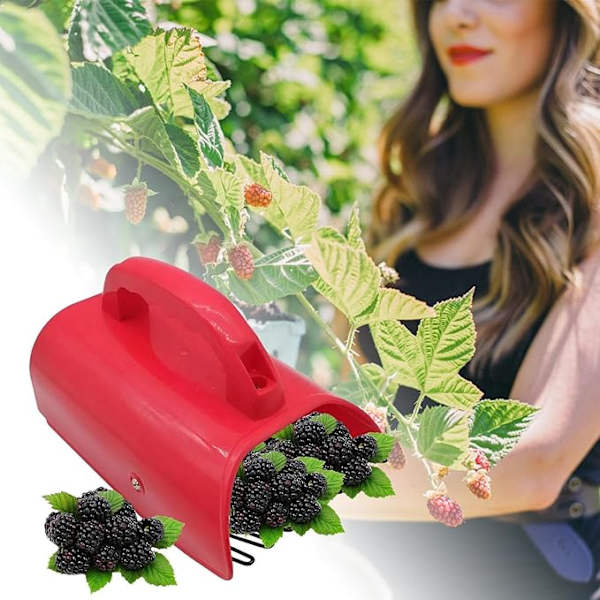Blueberry Rake Picker Scoop Tool,Bärplockare med handtag - Säker bärplockare Rostsäkra plockverktyg