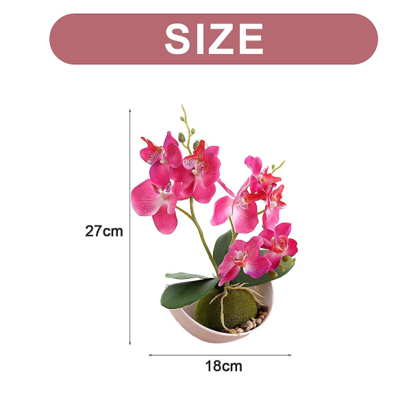 Kolmihaaraisen Phalaenopsis-orkidean Kuun Bonsai Tekokukka Koriste Kasvi Ruukutettu Vihreä Kasvi Koti Koriste Rose red