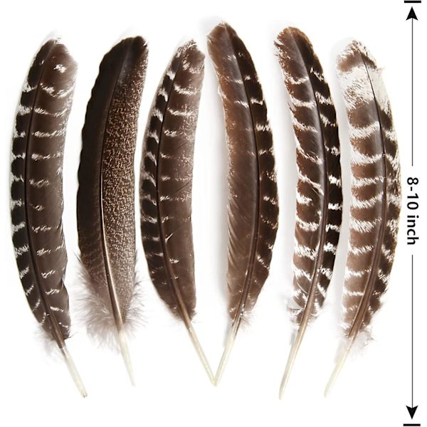 24 stk. Naturlige Vilde Kalkunvingefjer Fjerpen Bulk 6-8 tommer 15-20 cm Til DIY Håndværksprojekt Samling Bryllupsdekoration Vilde Kalkunhalefjer