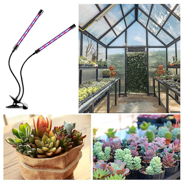 Plante Lampe Led 30w Plantelys 80 Leds Plantelys Vekstlampe Dyrkingslys Fullt Spektrum, 4 Hoder Vekstlampe Med Timer Kompatibel Med Hagearbeid