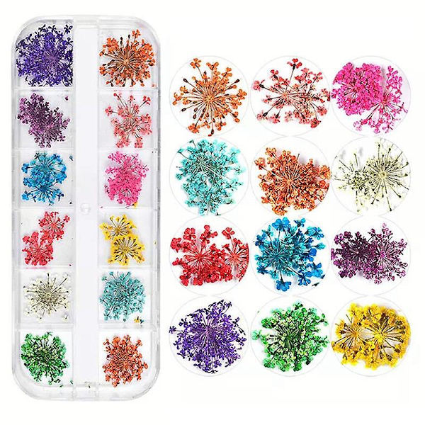 36 stk. kombinasjons neglepynt tørkede blomster håndlagde DIY negleklistremerker, tørkede blomster hortensia snøperler blomsterpynt A