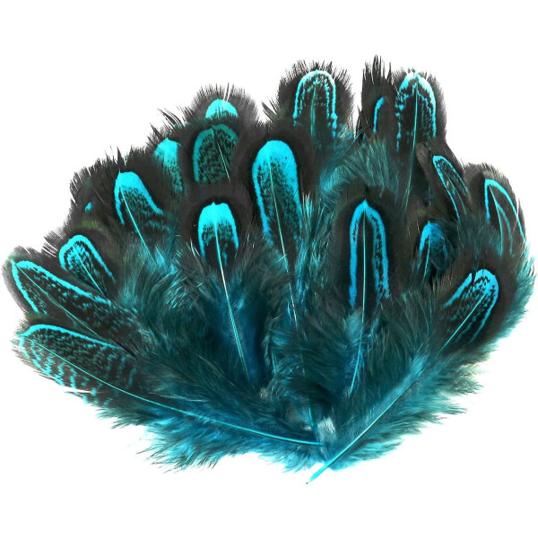 100 st fasan fjäder blå 2"-4" fjäderdräkt fjädrar för sömnad hantverk Dekoration Tillbehör