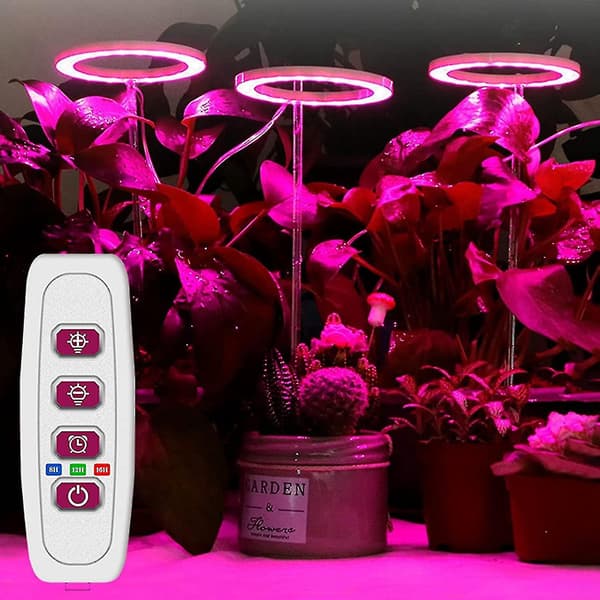 Växtlampa LED-ljus för inomhusväxter och suckulenter