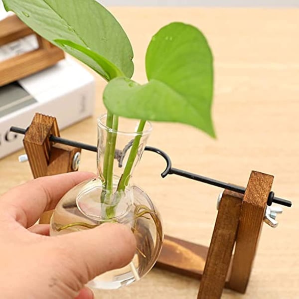 Qsdgfh Skrivbord Växt Glödlampa Terrarium Vas Mini Söta Kreativa Hydroponiska Växter Glas Vas Luftväxt Glas Planter Med Retro Trästativ För Inomhus Ho 2 Bulbs Vase 9.45inch*5.5inch