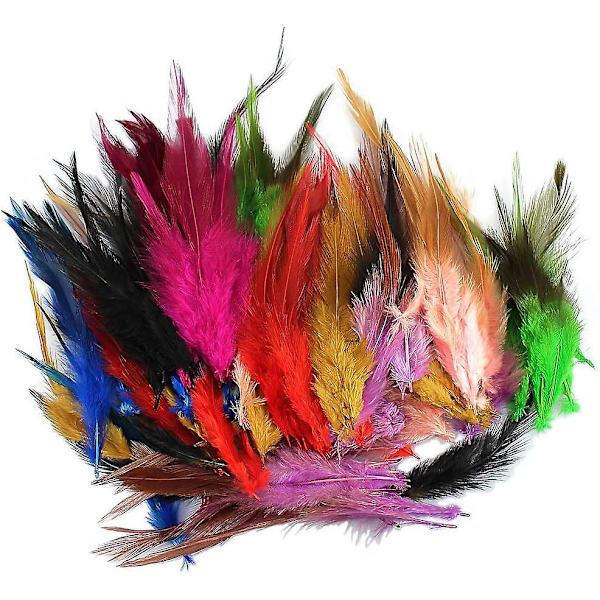 100 stk. Assorterede Farvede Flerfarvede Lange Regnbuefjer til Hår Extensions 11,4-16,5 cm