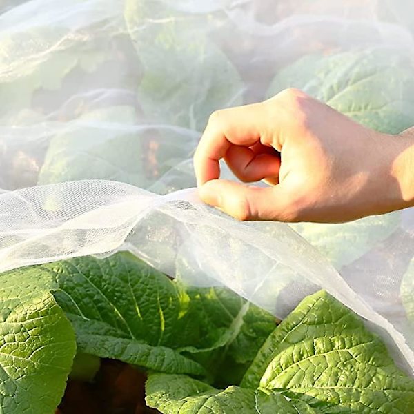 Trädgårdsnät, Växtöverdrag Nät Ultra Fint Masknät Skyddsnät För Grönsaksplantor Frukter Blommor Grödor Växthus Radskydd Upphöjd Bäddbarriär 2x3m