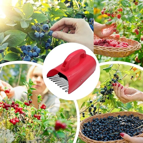 Blueberry Rake Picker Scoop Tool,Bärplockare med handtag - Säker bärplockare Rostsäkra plockverktyg