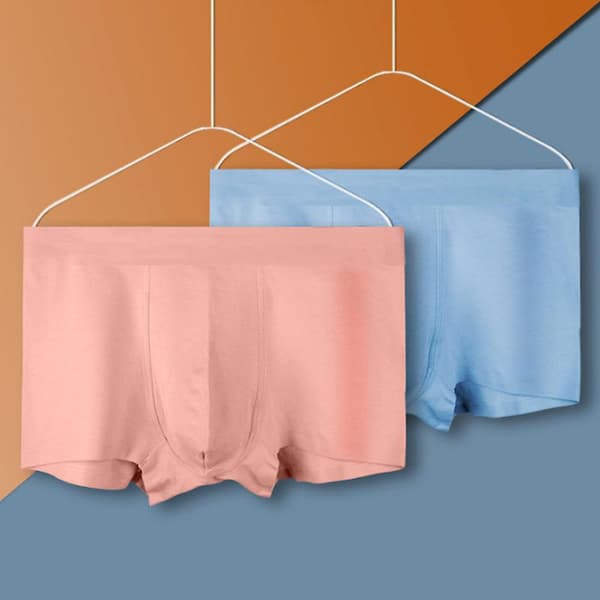 Boxer Briefs Herr Underkläder Män Pack Mjuk Bomullsunderkläder blue L