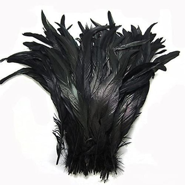 Nature Rooster Coque Svansar Fjädrar Kostym Hantverksdekoration 12-14 tums paket med 25 (svart)