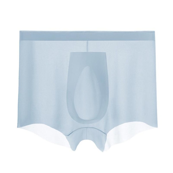 Herrunderkläder 3d Stereo Stämpling One-piece Herr Ice Silk Boxer Andas Sömlös Sexig Genomskinlig Transparenta Kalsonger light blue XL