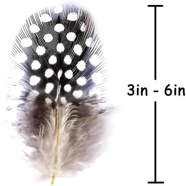 Naturlige kalkun småplettede fasanfjer til håndværk blomsterarrangementer bryllup hjemmefest dekorationer 7,5-15 cm (100 stk)