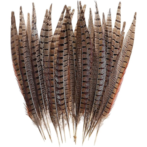 20 stk. Naturlige Fasanfjer - Fasan Hale 12-14 tommer (30-35 cm) Til DIY Dekoration (fasan hale)