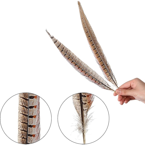 20 stk. Naturlige Fasanfjer - Fasan Hale 12-14 tommer (30-35 cm) Til DIY Dekoration (fasan hale)
