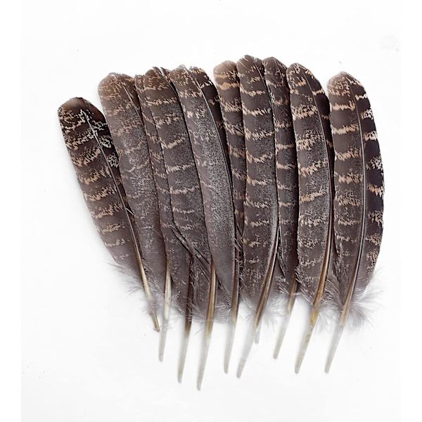Naturlige kalkunfjer 12-18 cm Party Håndværk Hat DIY Dekoration Pr. Pakke Med 10