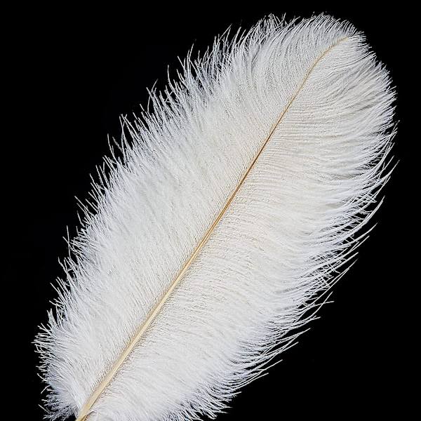 12 stk. Hvide Strudsefjer - 30-35 cm (12-14 tommer) Naturlige Strudsefjer i Bulk til Håndværk, Festdekorationer, Bryllup, Vase Dekorationer, Maskerade