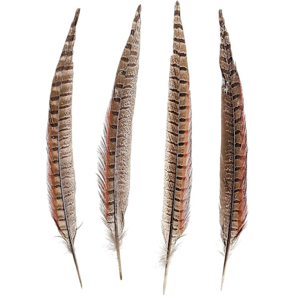 20 stk. Naturlige Fasanfjer - Fasan Hale 12-14 tommer (30-35 cm) Til DIY Dekoration (fasan hale)