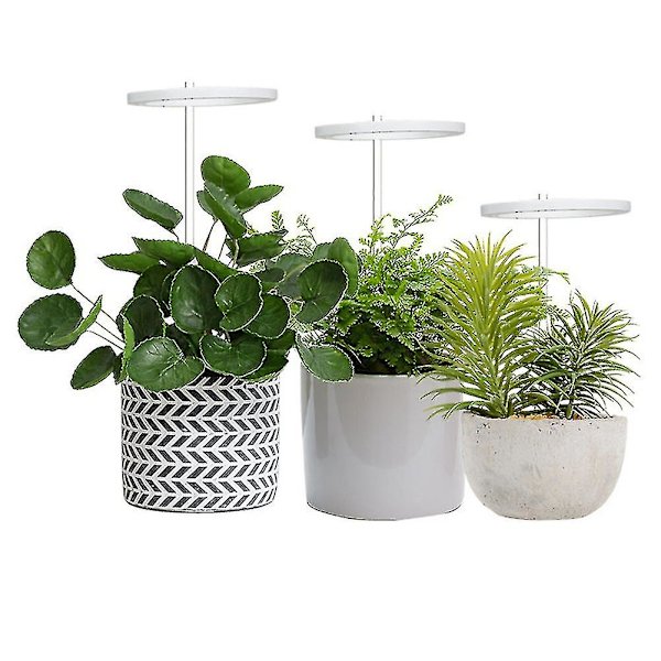 Plantevækstlampe LED-lys til indendørs sukkulenter