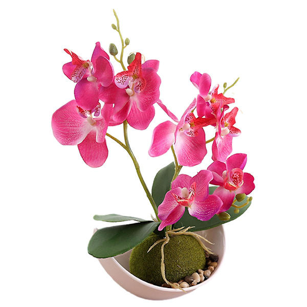 Treuddig Phalaenopsis Orkidé Måne Bonsai Konstgjord Blomster Dekoration Växt Krukväxt Grön Växt Heminredning Rose red