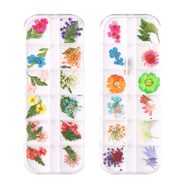 2 lådor Nageltorkade blommor, nail art Decor Manikyrdekor Blandad torkad blomma style3