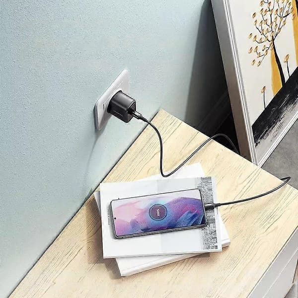 USB-C 25W PD telefonoplader + USB-C kabel 2m sort
