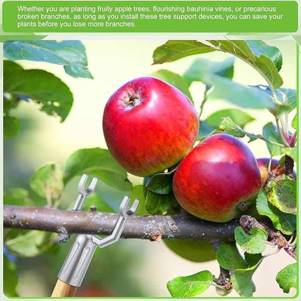 Grenstöd för fruktträd, Fruktträdlutande grenstöd - 8st Fruit Tree Support Krycka