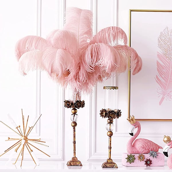 10 stk. Lyserøde Strudsefjer, Naturlige Lotus Pink Fjer Duske 25-30 cm Bulk Til Håndværk Vase Bryllupsfest Bordpynt Blomsterarrangement